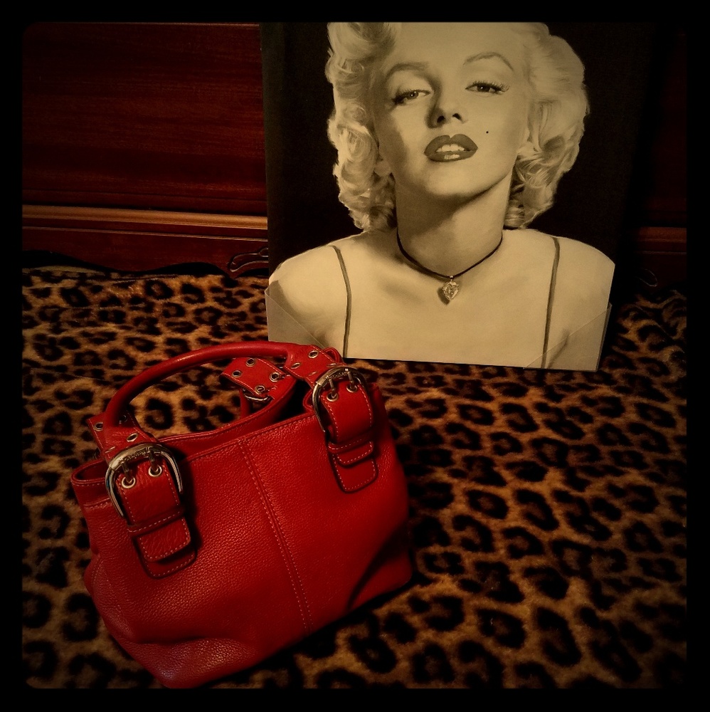 Tignanello Red Leather Handbag